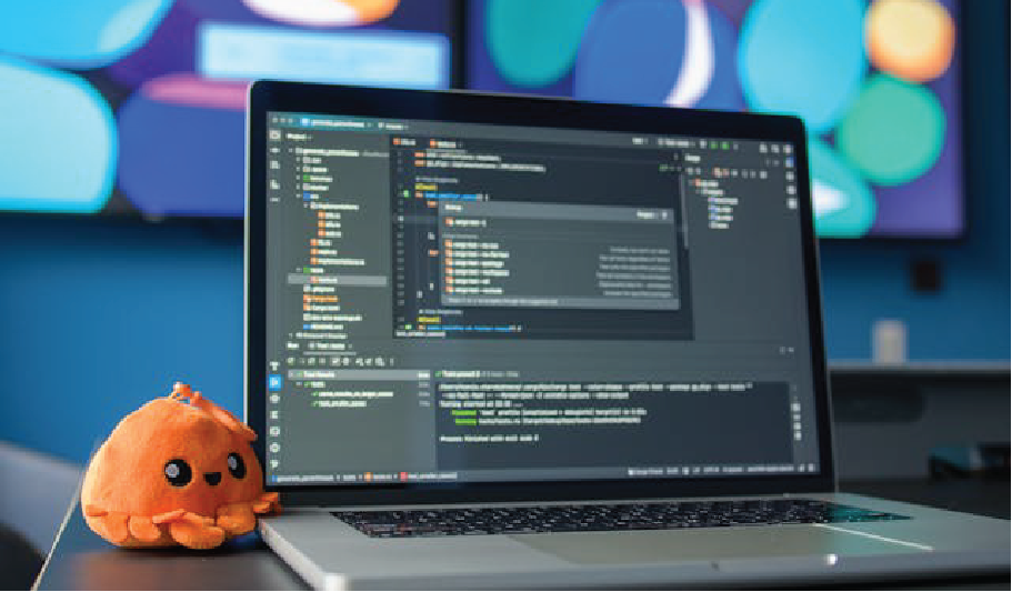 Web Development